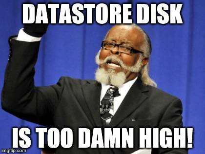 Datastore Disk